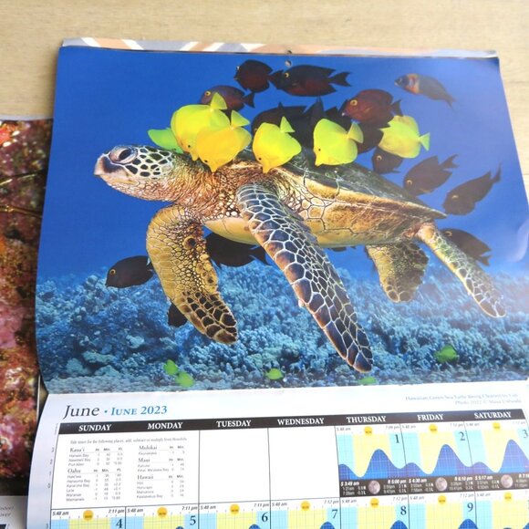 2 Hawaii Tide Moon Phase Calendars 2023/2024 Featuring Marine Life Photography - Picture 8 of 16